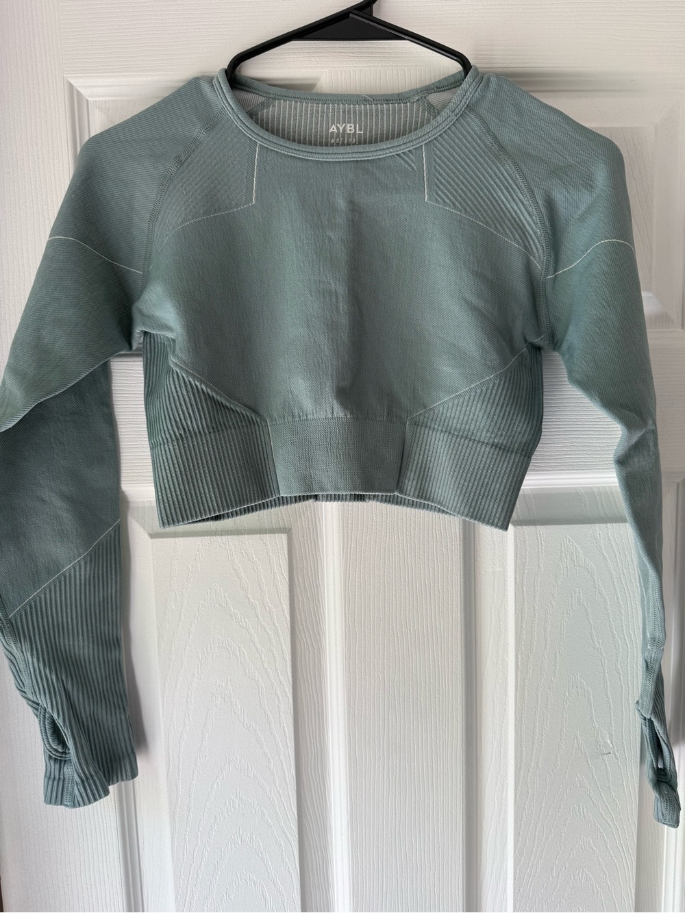 AYBL Seafoam Green Seamless Ribbed Long-Sleeve Crop Top
